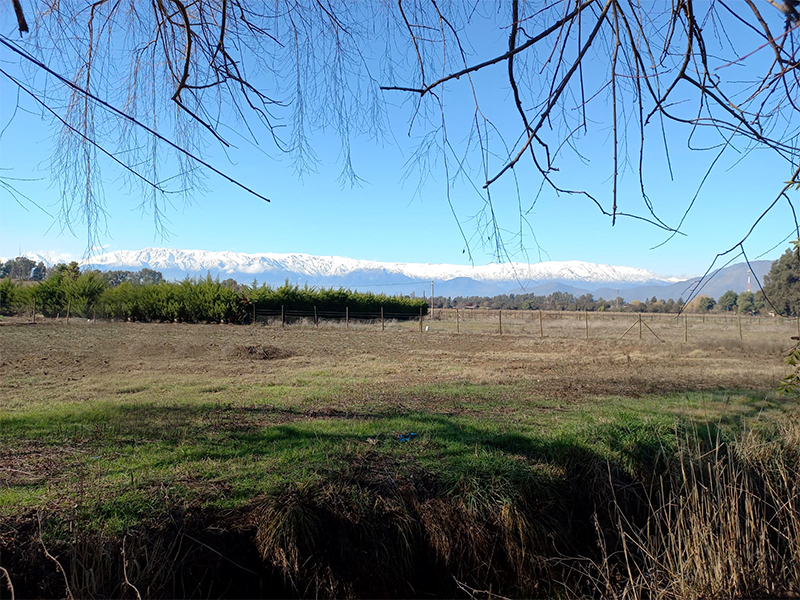 sitio-paine-champa-oportunidad-venta-painepropiedades