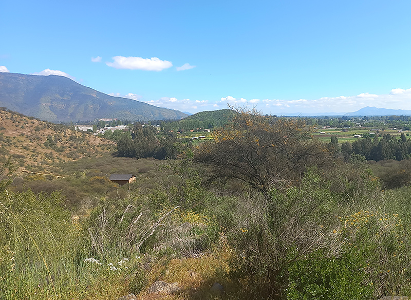 venta-parcela-50-milones-paine-cerro-challay