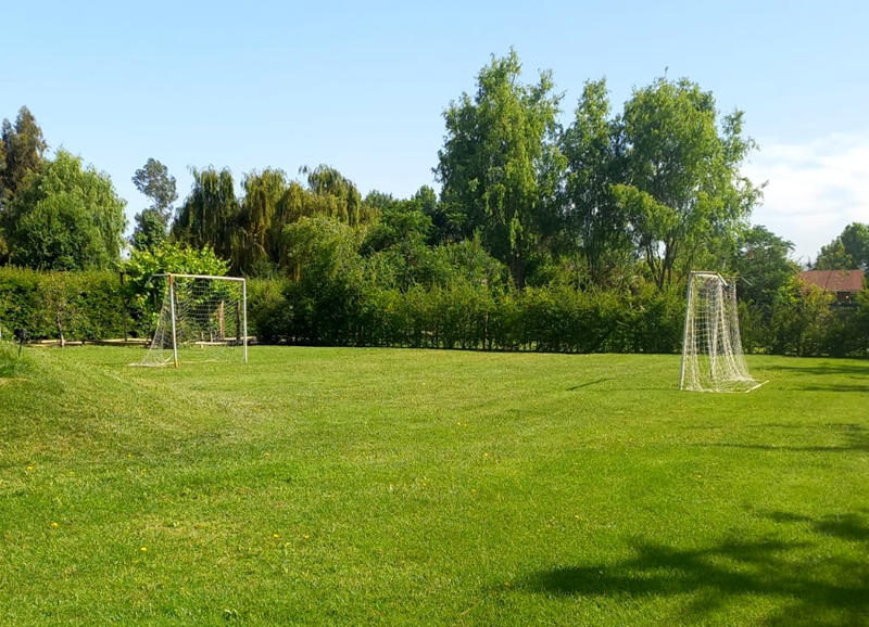 cancha