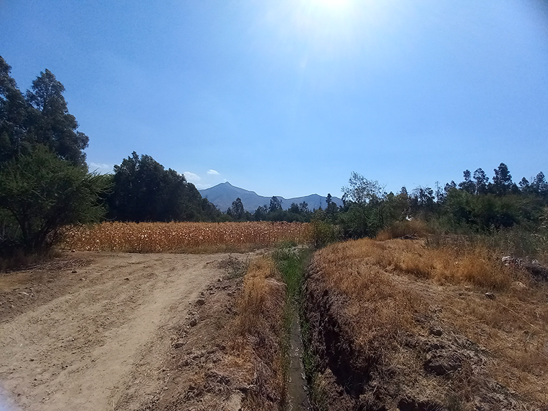 linda-parcela-rustica-acceso-paine-condominiohacienda-chada