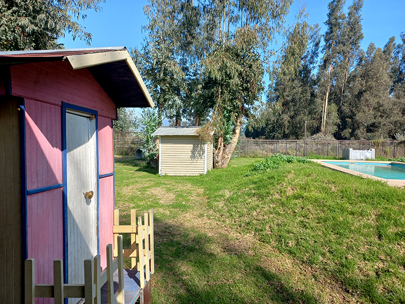 patio-casa-munecas-bodega