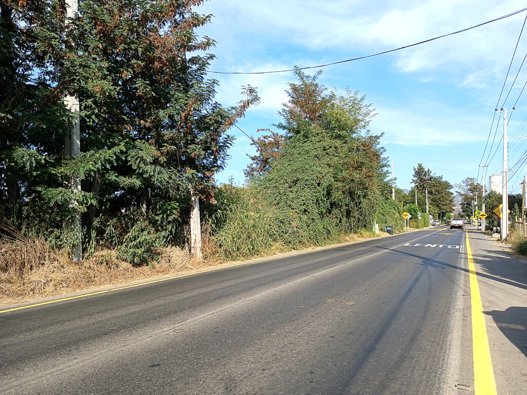 camino-aculeo-km7-elvinculo