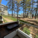 WhatsApp Image 2026-02-07 at 12.54.36