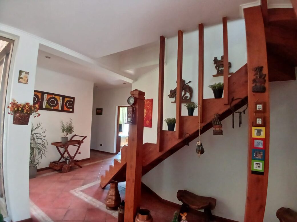 WhatsApp Image 2026-02-07 at 13.38.48