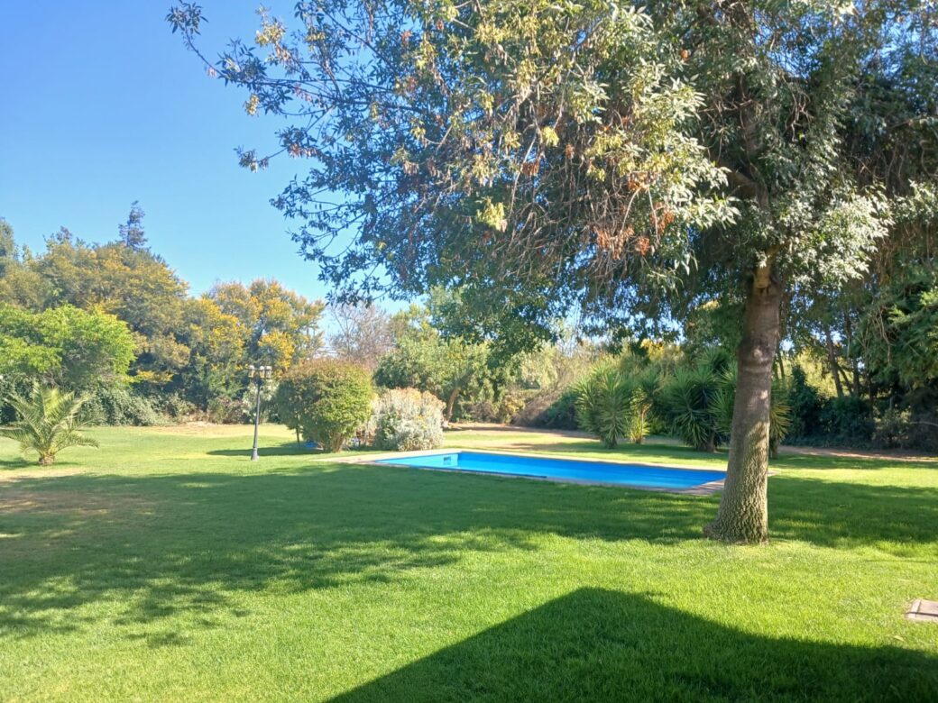 WhatsApp Image 2026-02-07 at 13.38.59 (2)