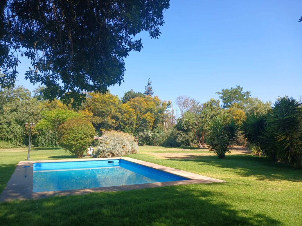 WhatsApp Image 2026-02-07 at 13.39.03