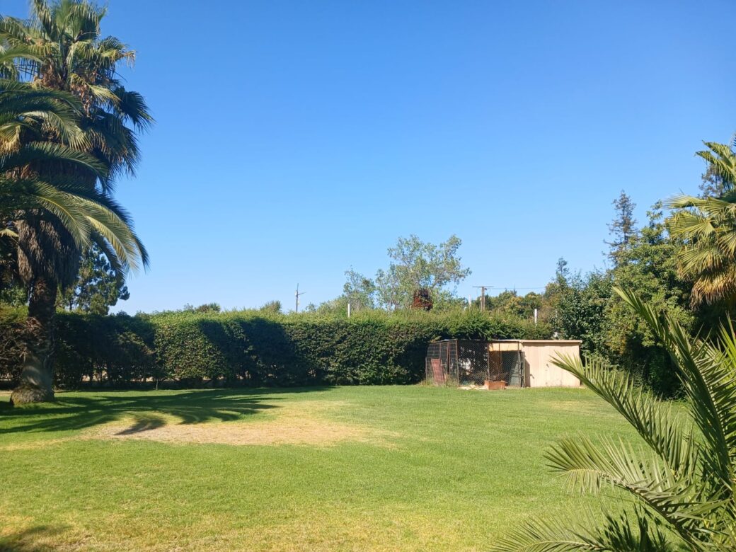 WhatsApp Image 2026-02-07 at 13.39.04 (2)