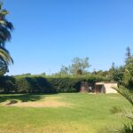 WhatsApp Image 2026-02-07 at 13.39.04 (2)