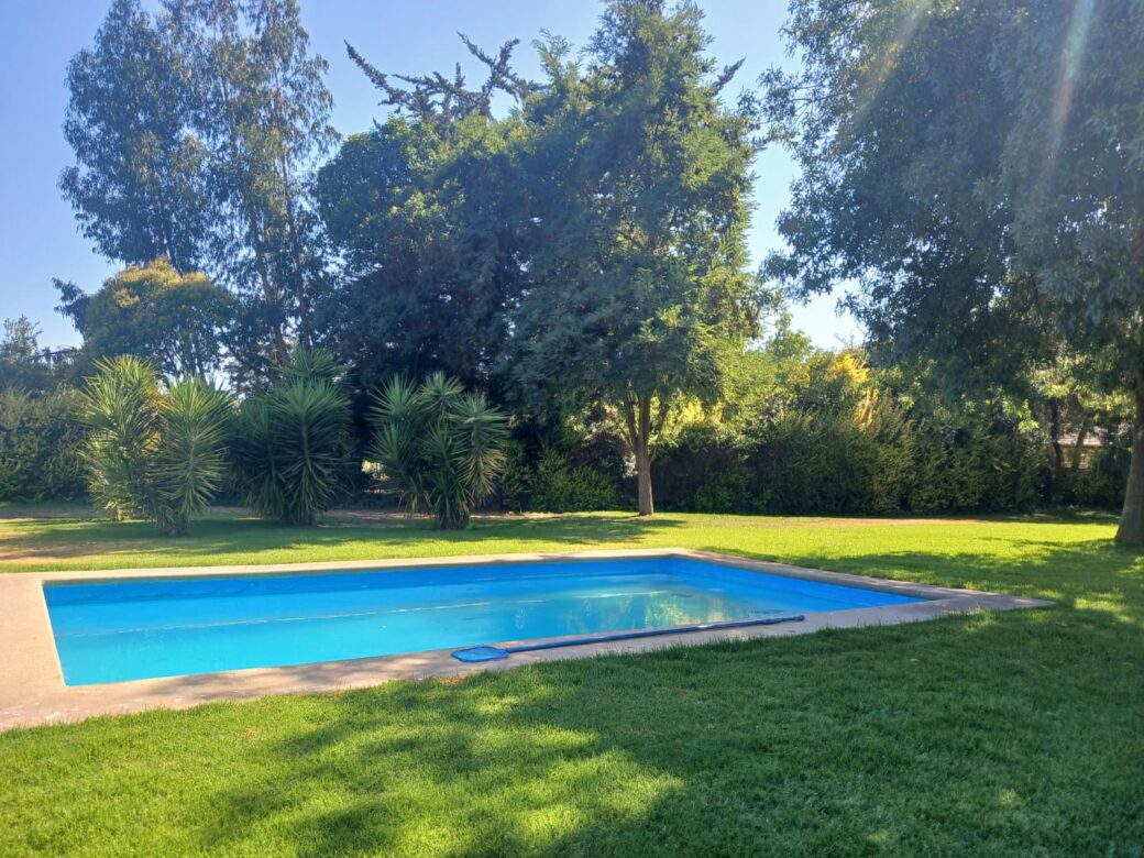 WhatsApp Image 2026-02-07 at 13.39.04 (4)