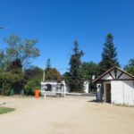 WhatsApp Image 2026-02-07 at 13.39.05 (1)