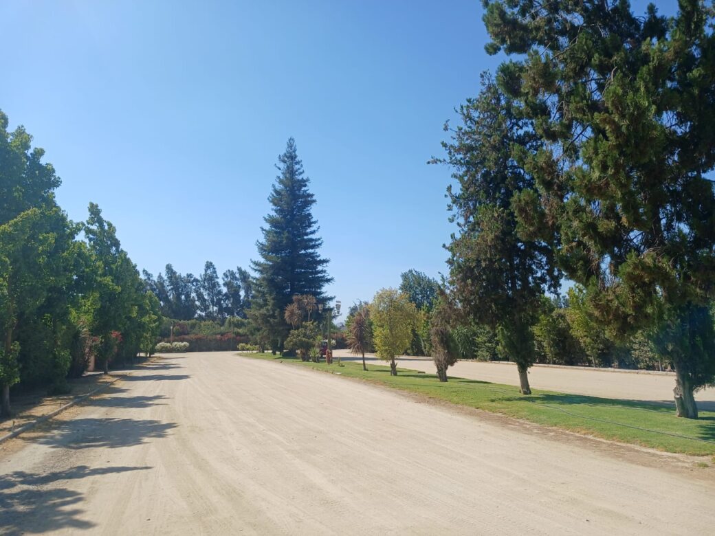 WhatsApp Image 2026-02-07 at 13.39.05