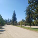 WhatsApp Image 2026-02-07 at 13.39.05